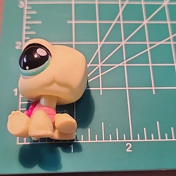 LPS 1597 Turtle Pink Shell Scenery 2008 Hasbro Littlest Pet Shop - Picture 5 of 6